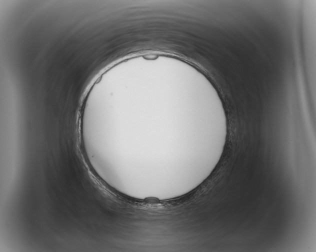 X0000103331524200810061004