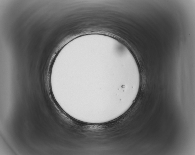 X0000103331525200810061004