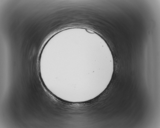 X0000103331527200810061004