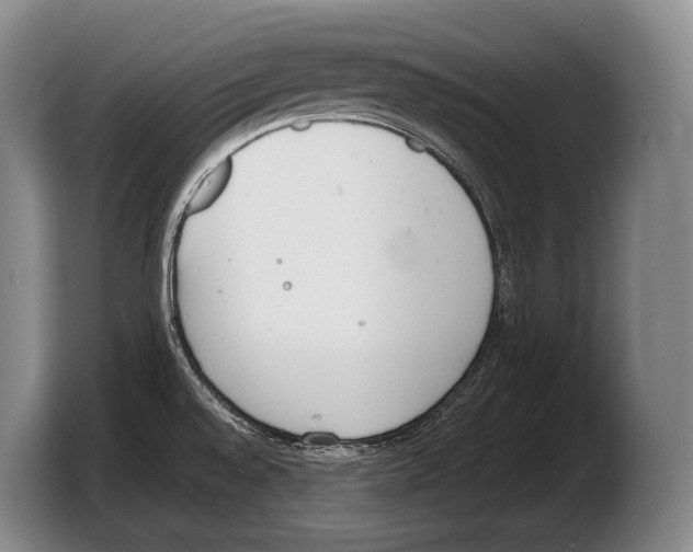 X0000103331528200810061004