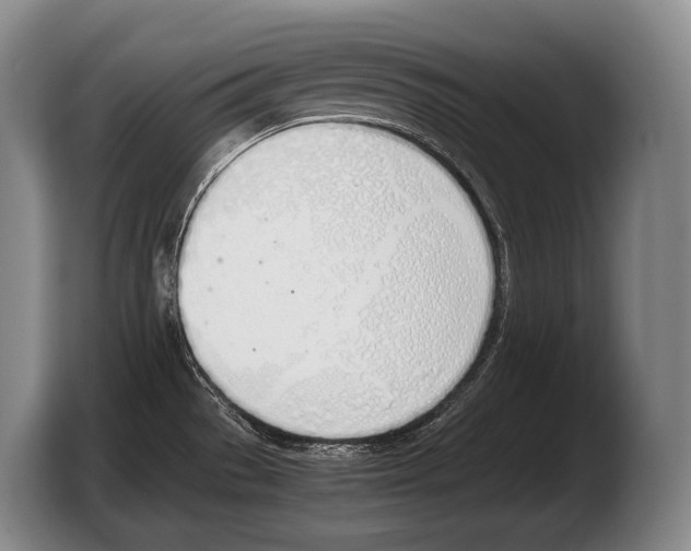 X0000103331529200810061004