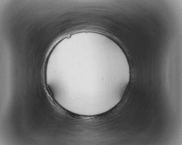 X0000103331530200810061004