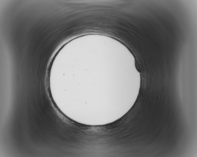 X0000103331531200810061004