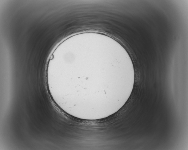 X0000103331532200810061004