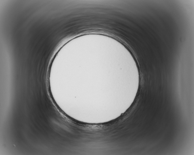 X0000103331533200810061004