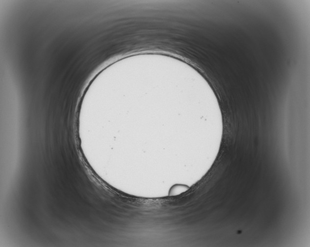 X0000103331534200810061004