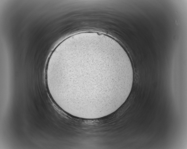 X0000103331535200810061004