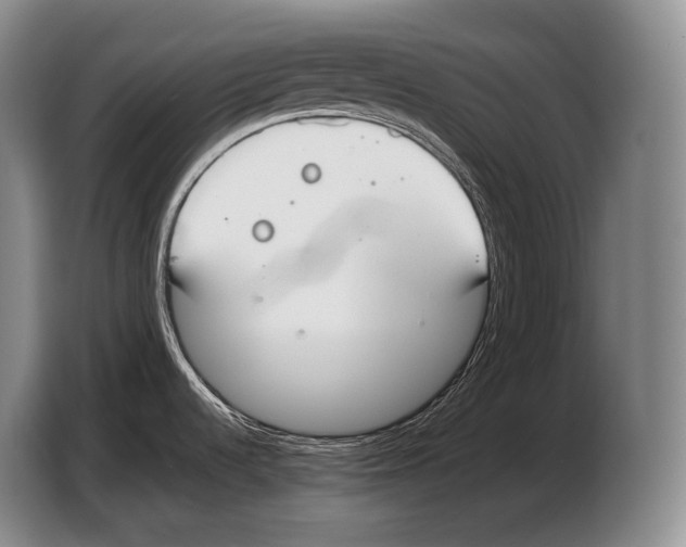 X0000103331536200810061004