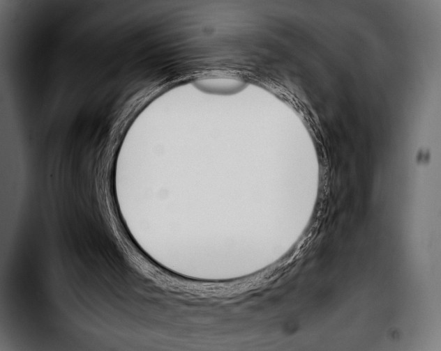 X0000103330001200810171434