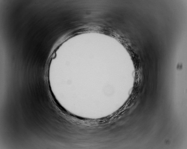 X0000103330004200810171434