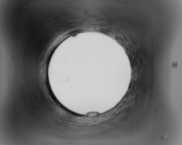 X0000103330005200810171434