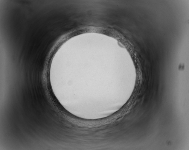 X0000103330006200810171434