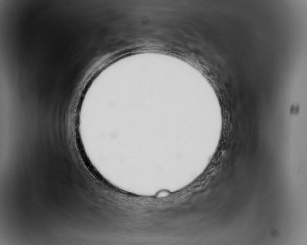 X0000103330007200810171434