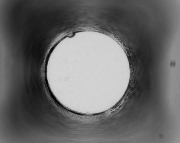 X0000103330008200810171434