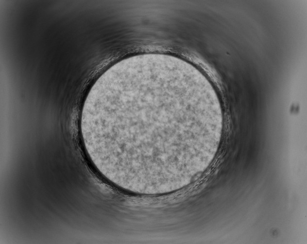 X0000103330009200810171434