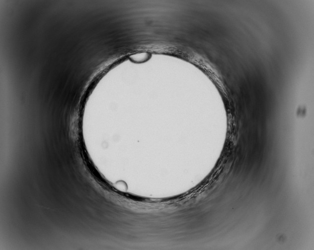 X0000103330012200810171434