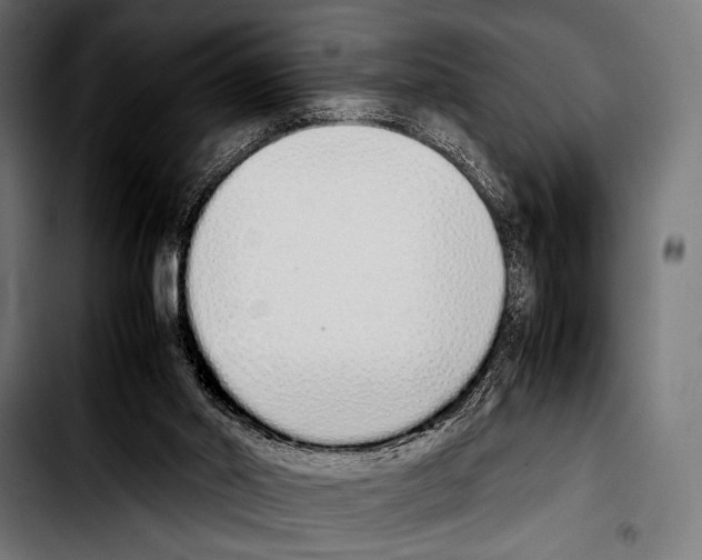 X0000103330014200810171434