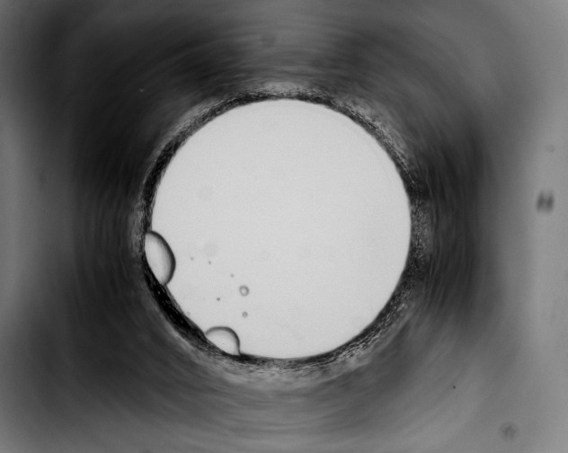 X0000103330016200810171434