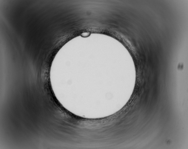 X0000103330017200810171434