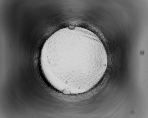 X0000103330018200810171434