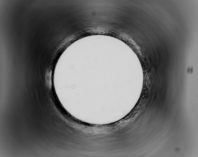 X0000103330020200810171434