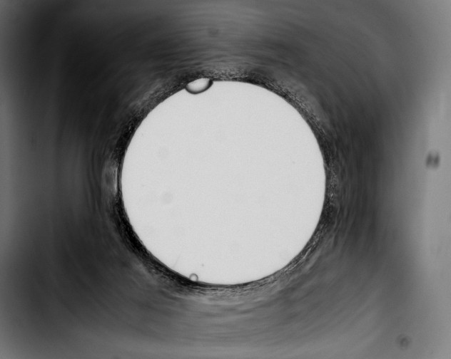 X0000103330021200810171434