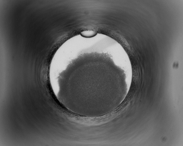 X0000103330023200810171434