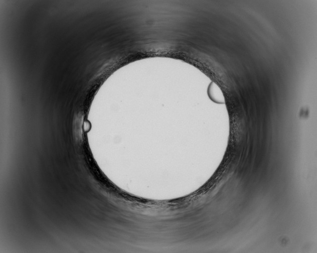 X0000103330024200810171434