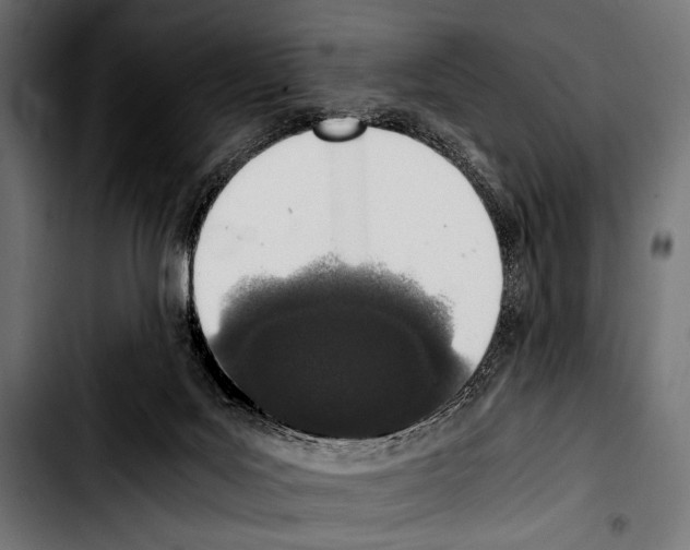 X0000103330027200810171434