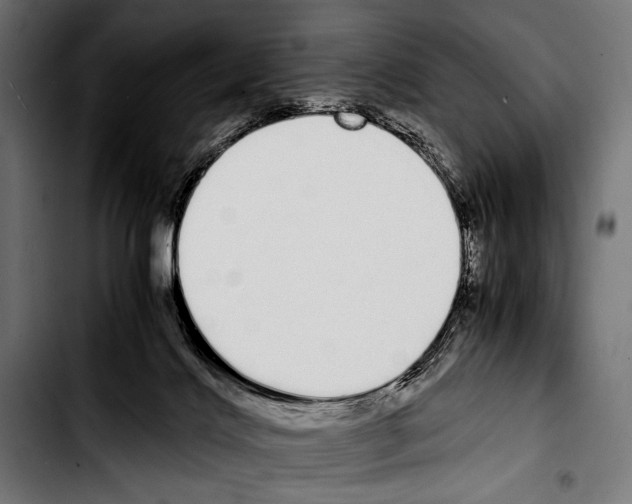 X0000103330028200810171434