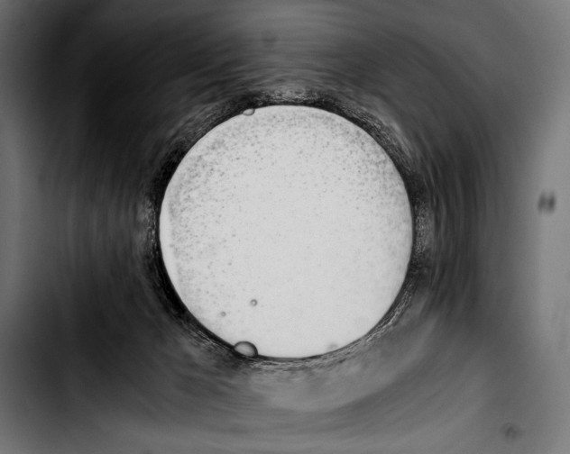 X0000103330029200810171434