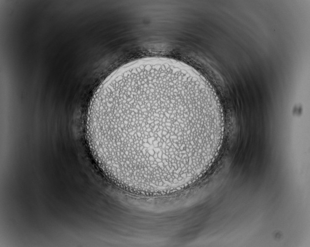 X0000103330030200810171434