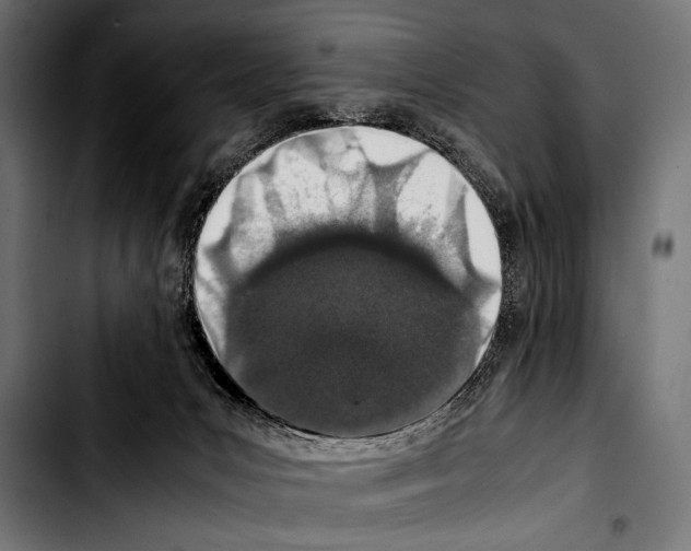 X0000103330031200810171434