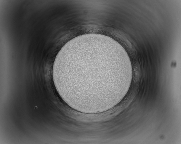 X0000103330034200810171434