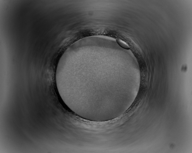 X0000103330035200810171434