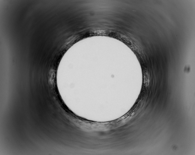 X0000103330036200810171434