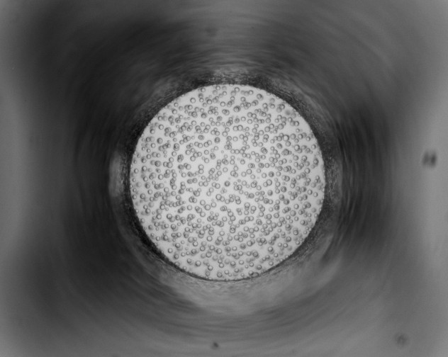 X0000103330038200810171434