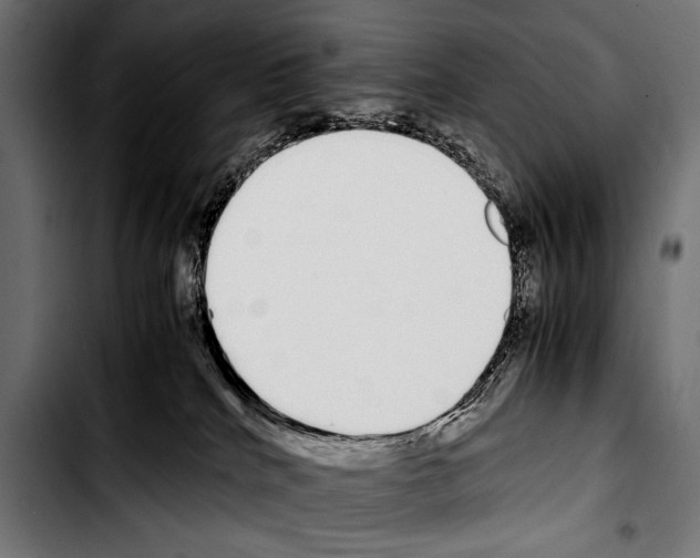 X0000103330040200810171434