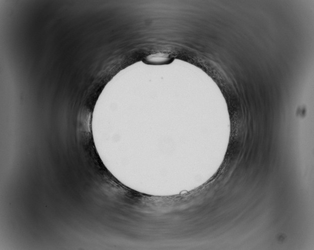 X0000103330041200810171434