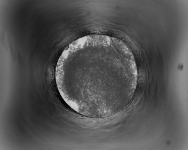 X0000103330043200810171434