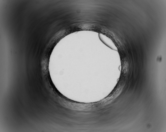 X0000103330044200810171434