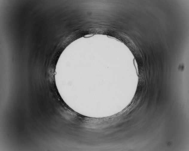 X0000103330045200810171434