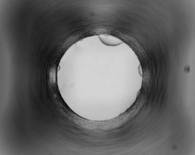 X0000103330046200810171434