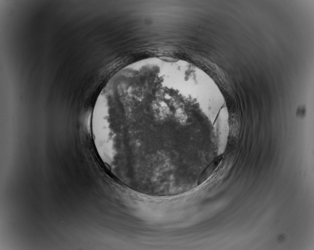 X0000103330047200810171434