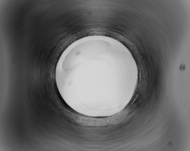 X0000103330048200810171434