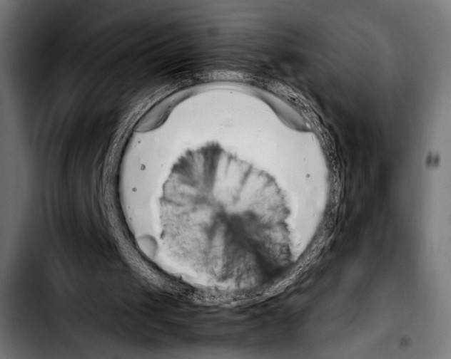 X0000103330049200810171433