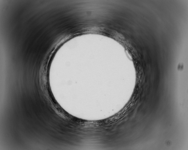 X0000103330050200810171433