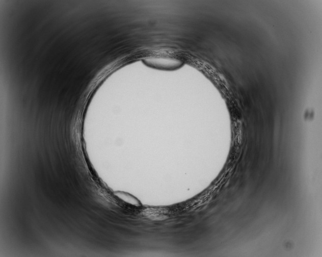 X0000103330051200810171433