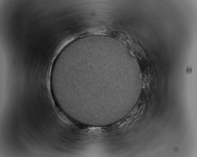 X0000103330052200810171433