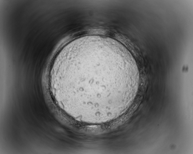 X0000103330053200810171433